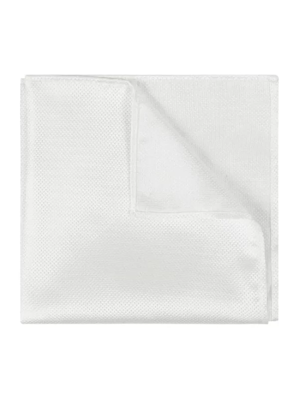Seidenfalter Plastron Und Einstecktuch Im Set – Silber 4
