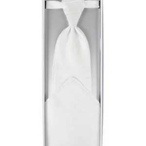 Seidenfalter Plastron Und Einstecktuch Im Set – Silber 7