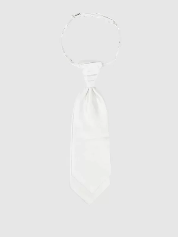 Seidenfalter Plastron Und Einstecktuch Im Set – Silber 1